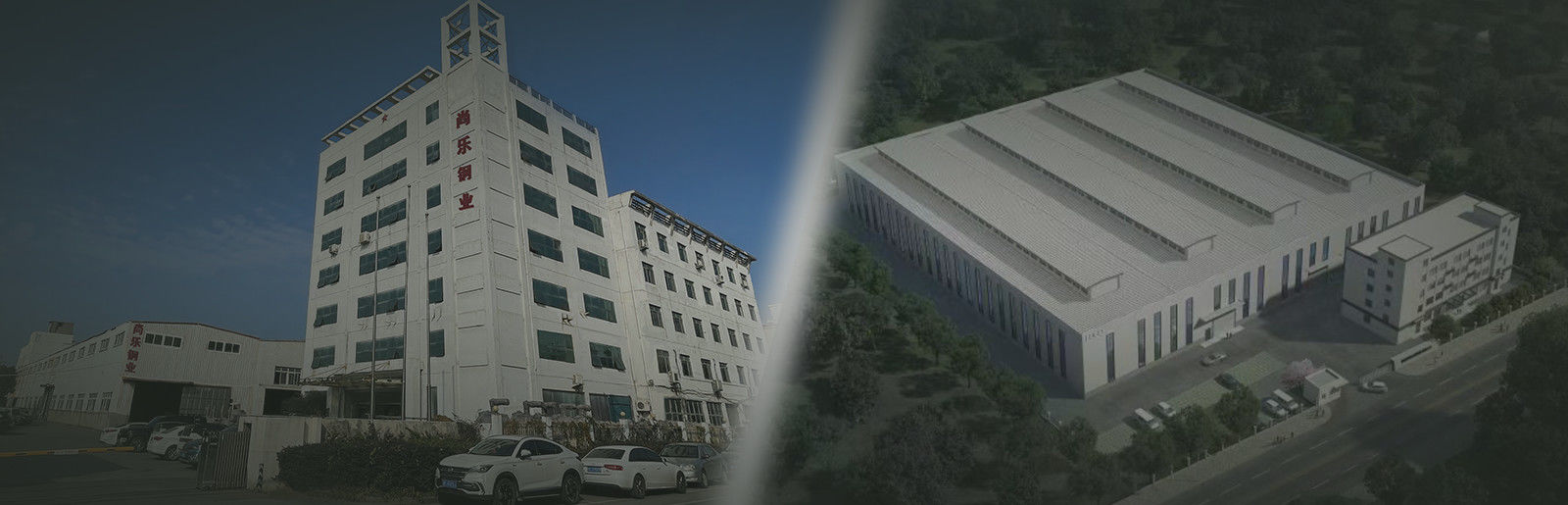 CINESE Wenzhou Shangle Steel Co., Ltd. Profilo Aziendale